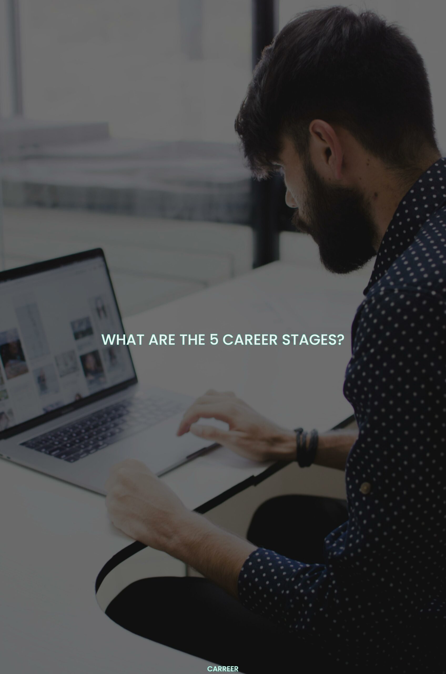 What are the 5 career stages?