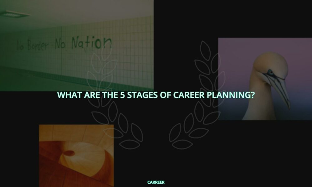 What are the 5 stages of career planning?