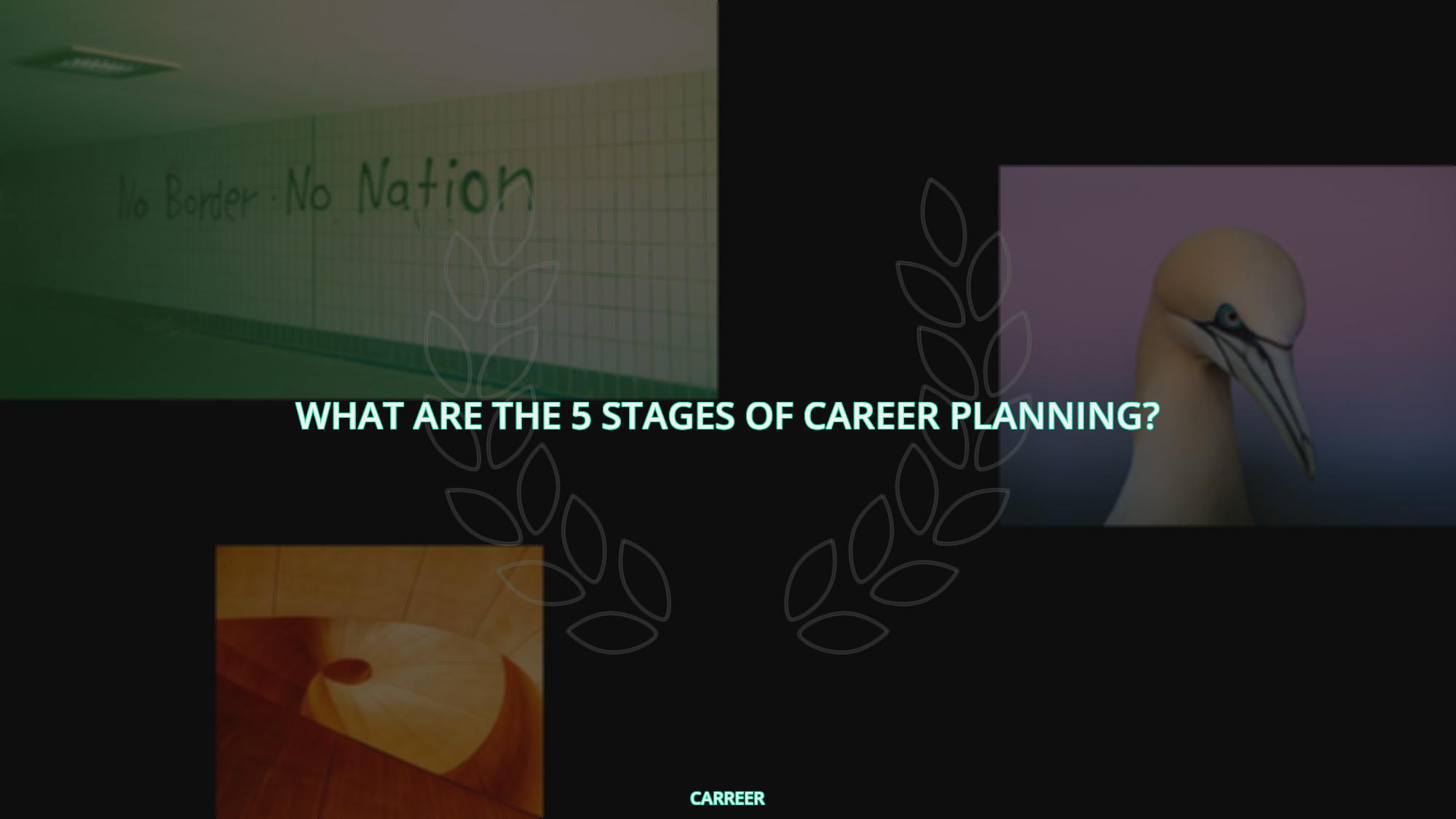 What are the 5 stages of career planning?