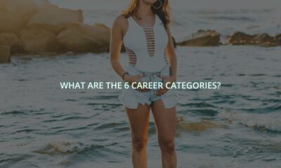 What are the 6 career categories?