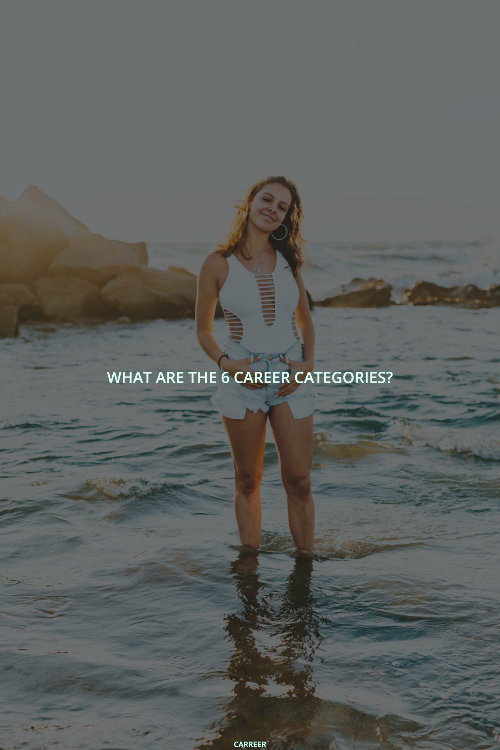 What are the 6 career categories?