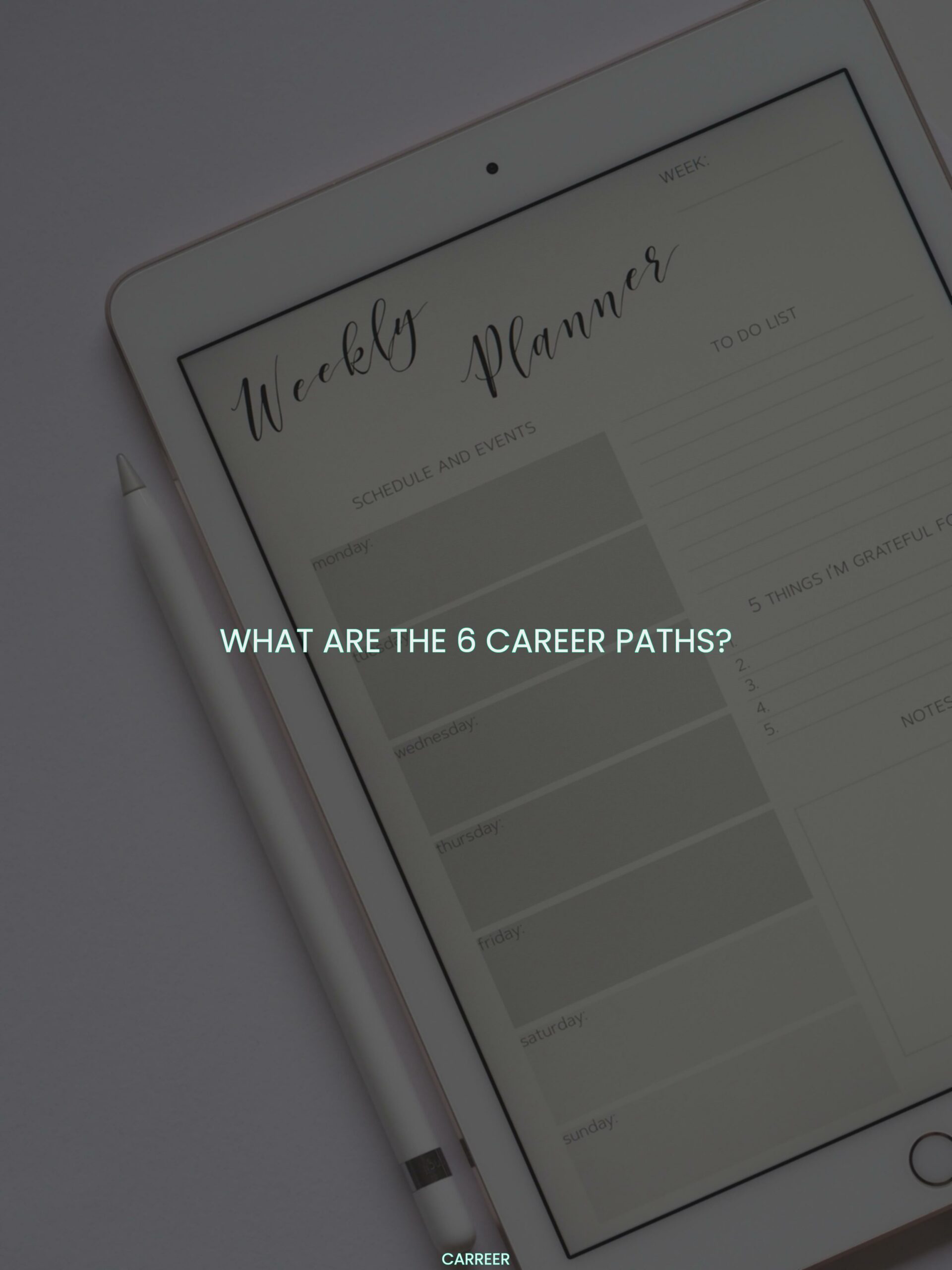 What are the 6 career paths?