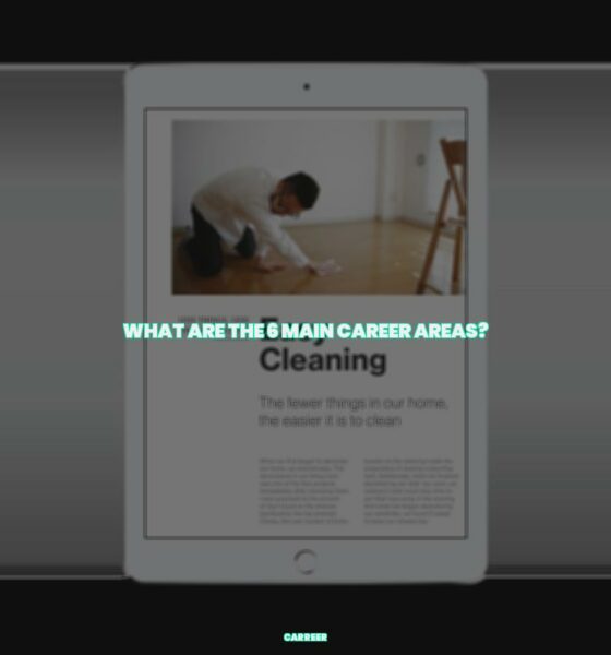 What are the 6 main career areas?