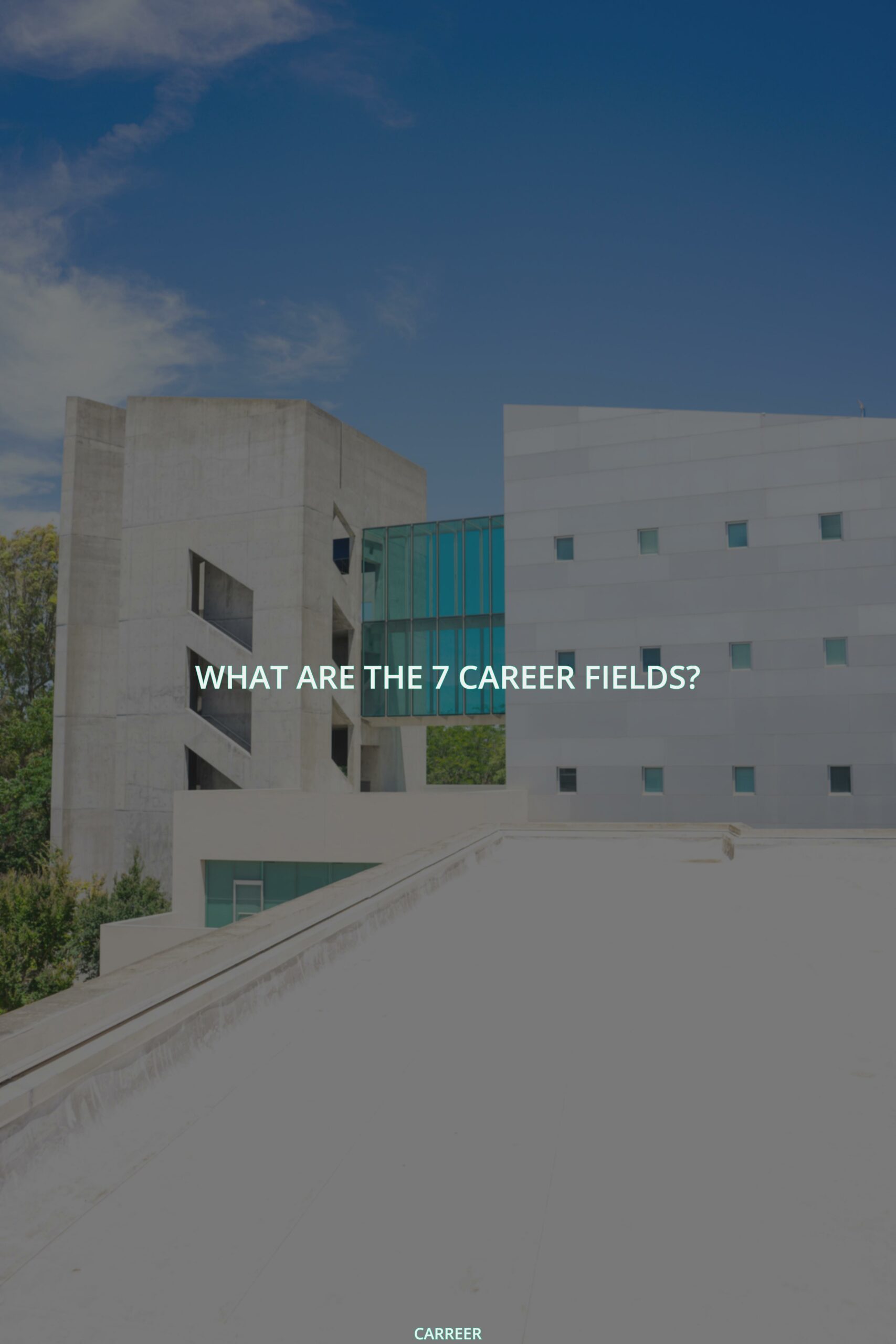 What are the 7 career fields?