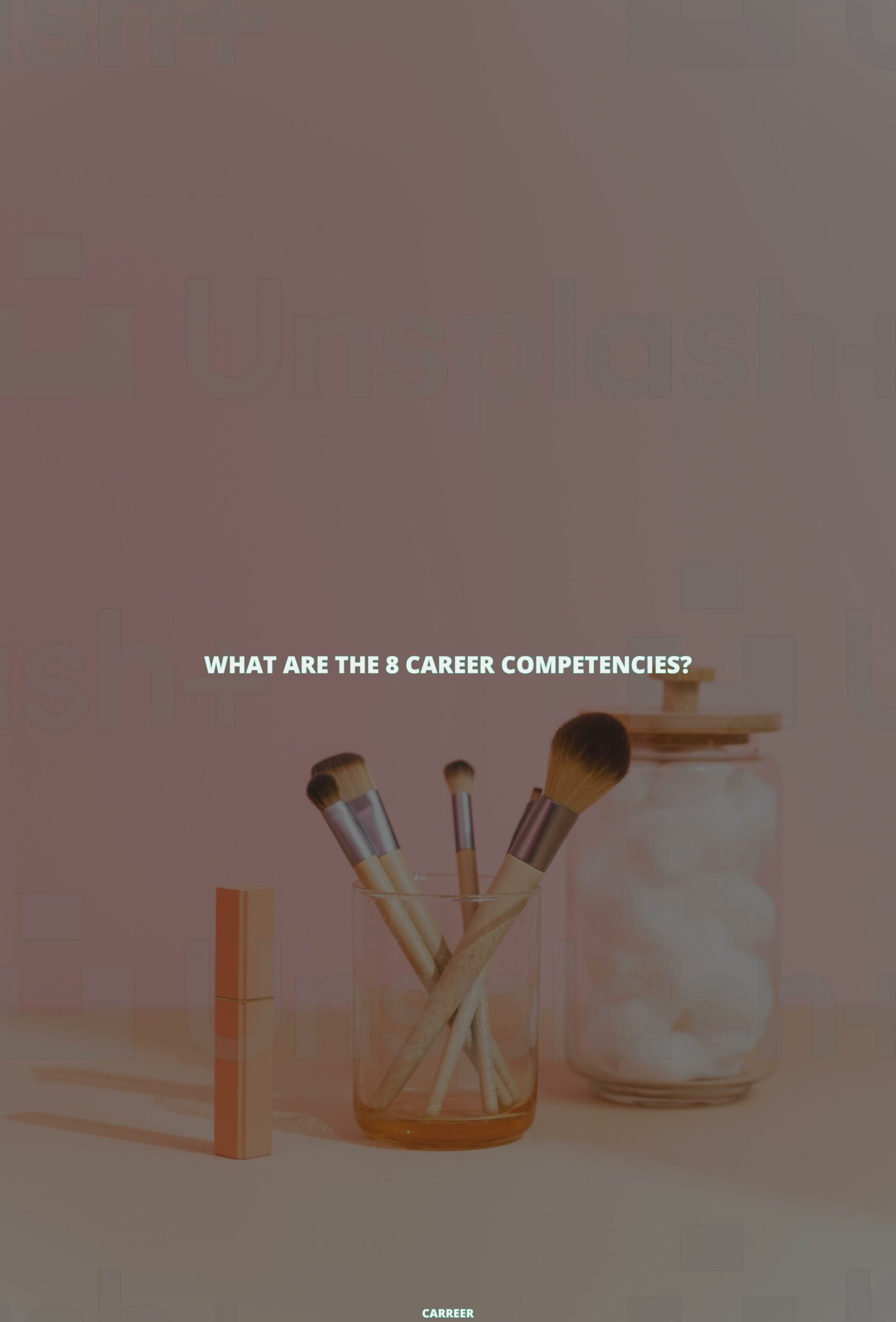 What are the 8 career competencies?