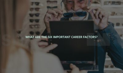 What are the six important career factors?