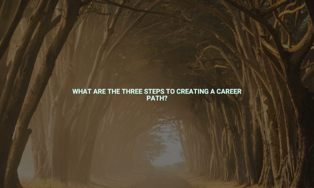 What are the three steps to creating a career path?