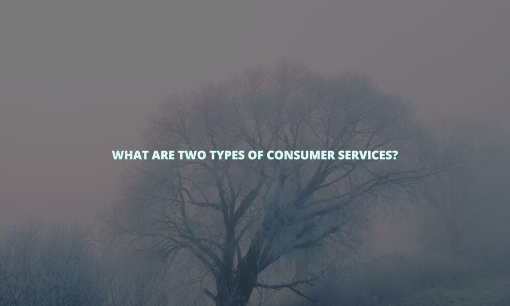 What are two types of consumer services?