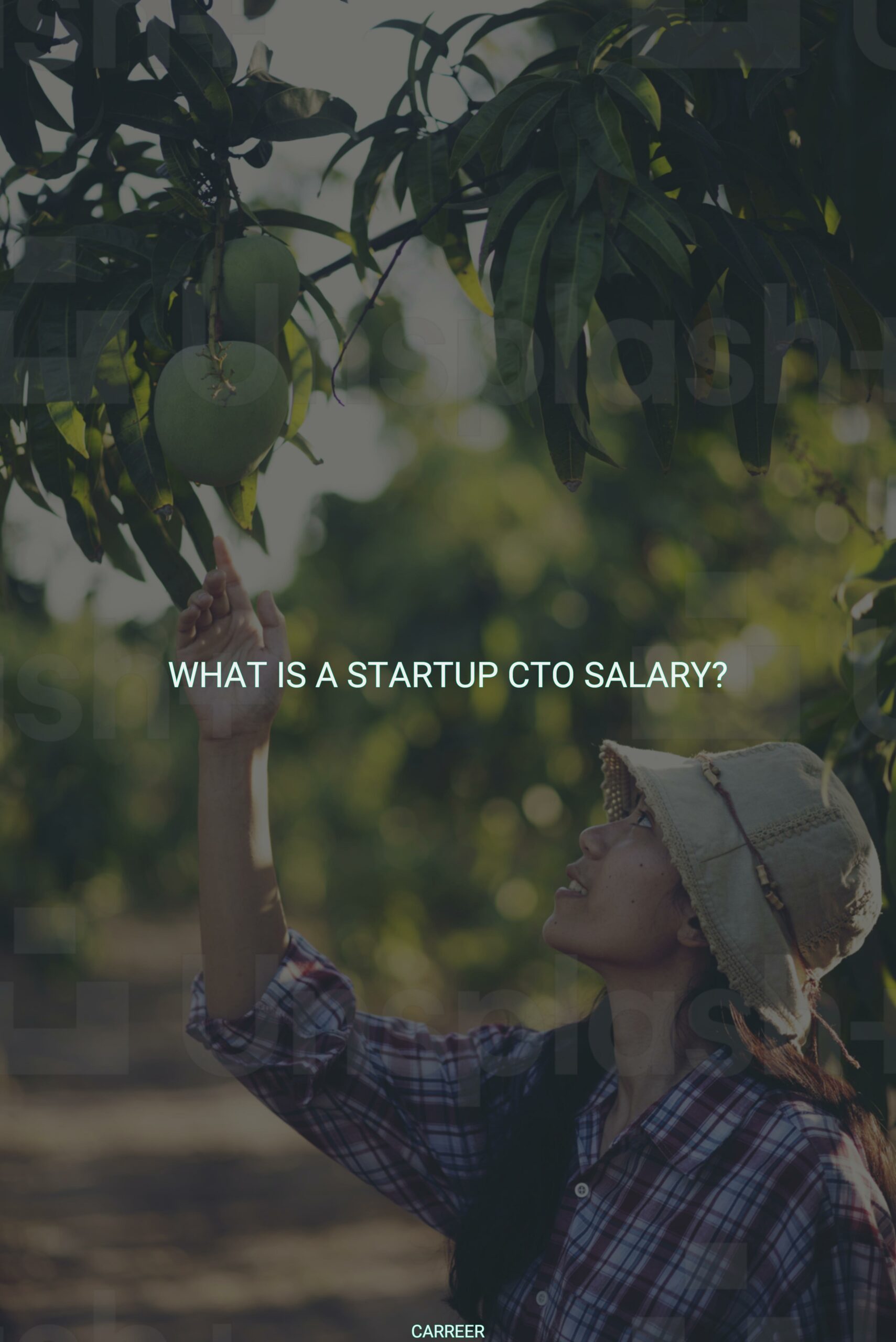 What is a startup cto salary?
