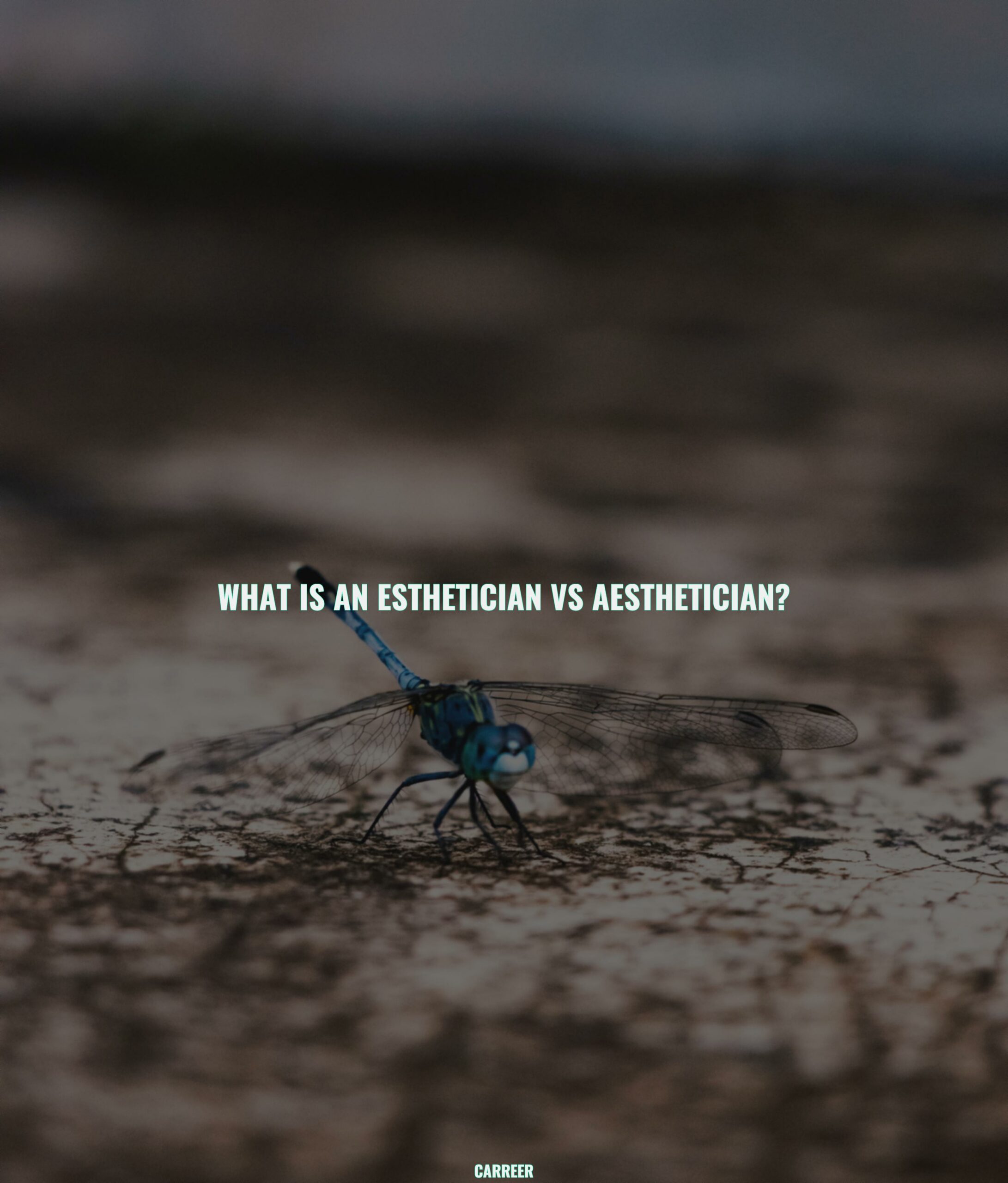 What is an esthetician vs aesthetician?
