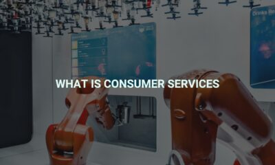 What is consumer services