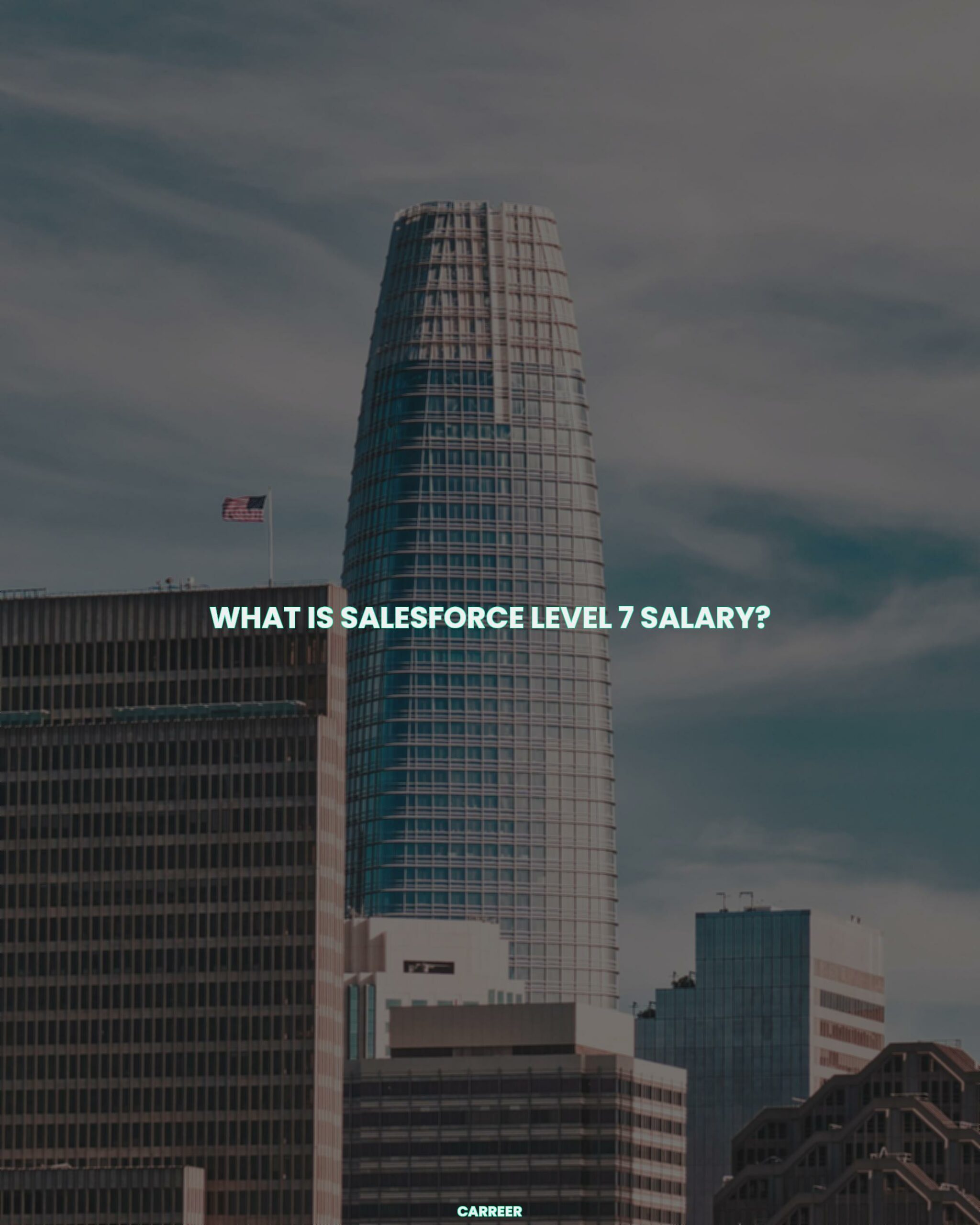 What is salesforce level 7 salary?