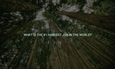 What is the #1 hardest job in the world?