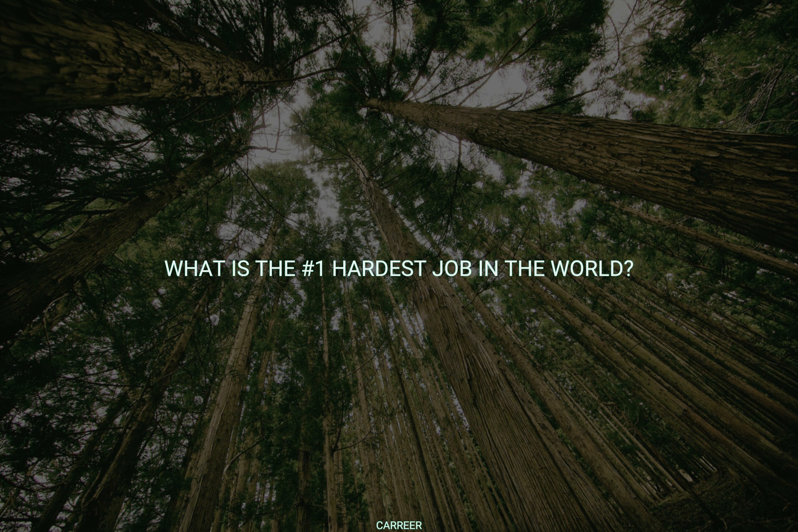 What is the #1 hardest job in the world?
