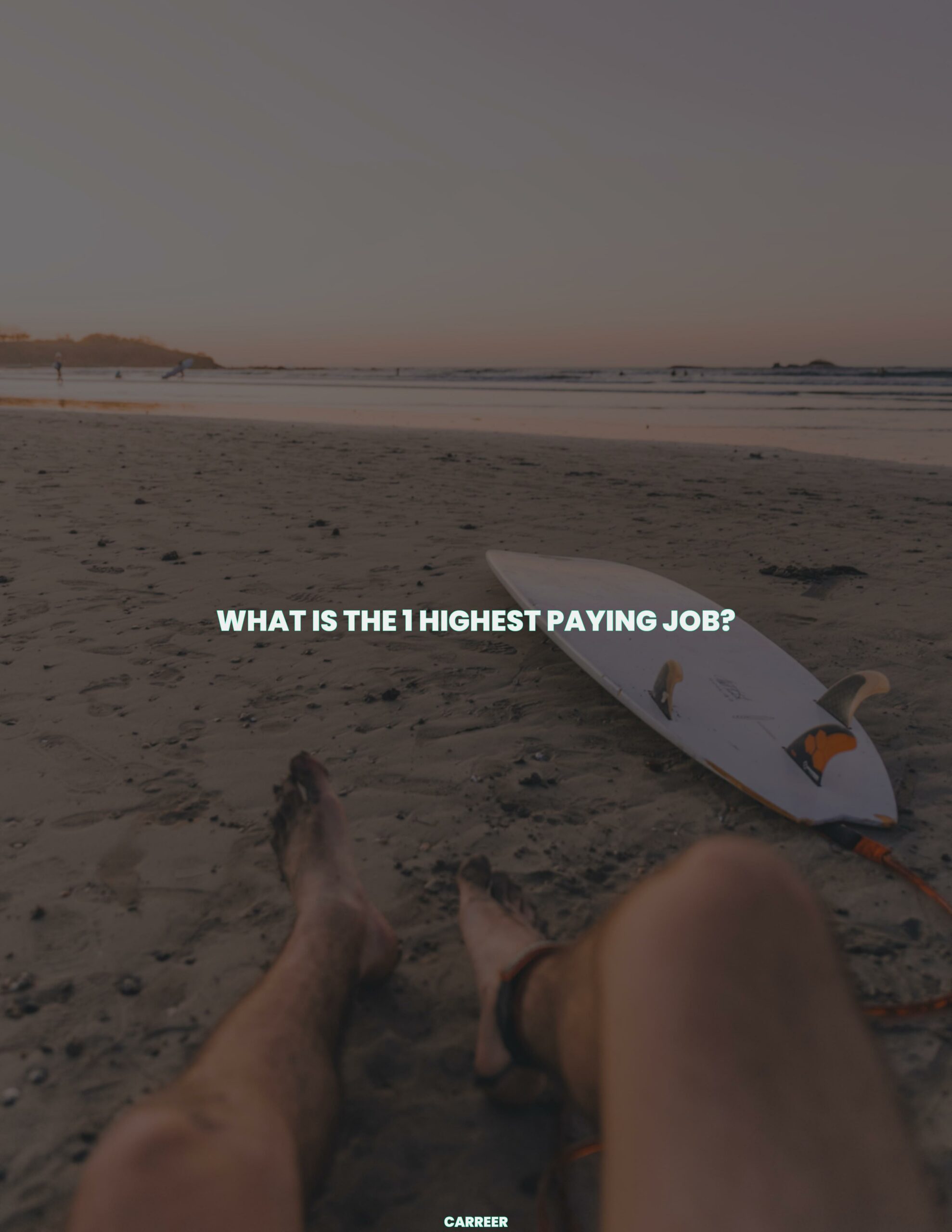 What is the 1 highest paying job?
