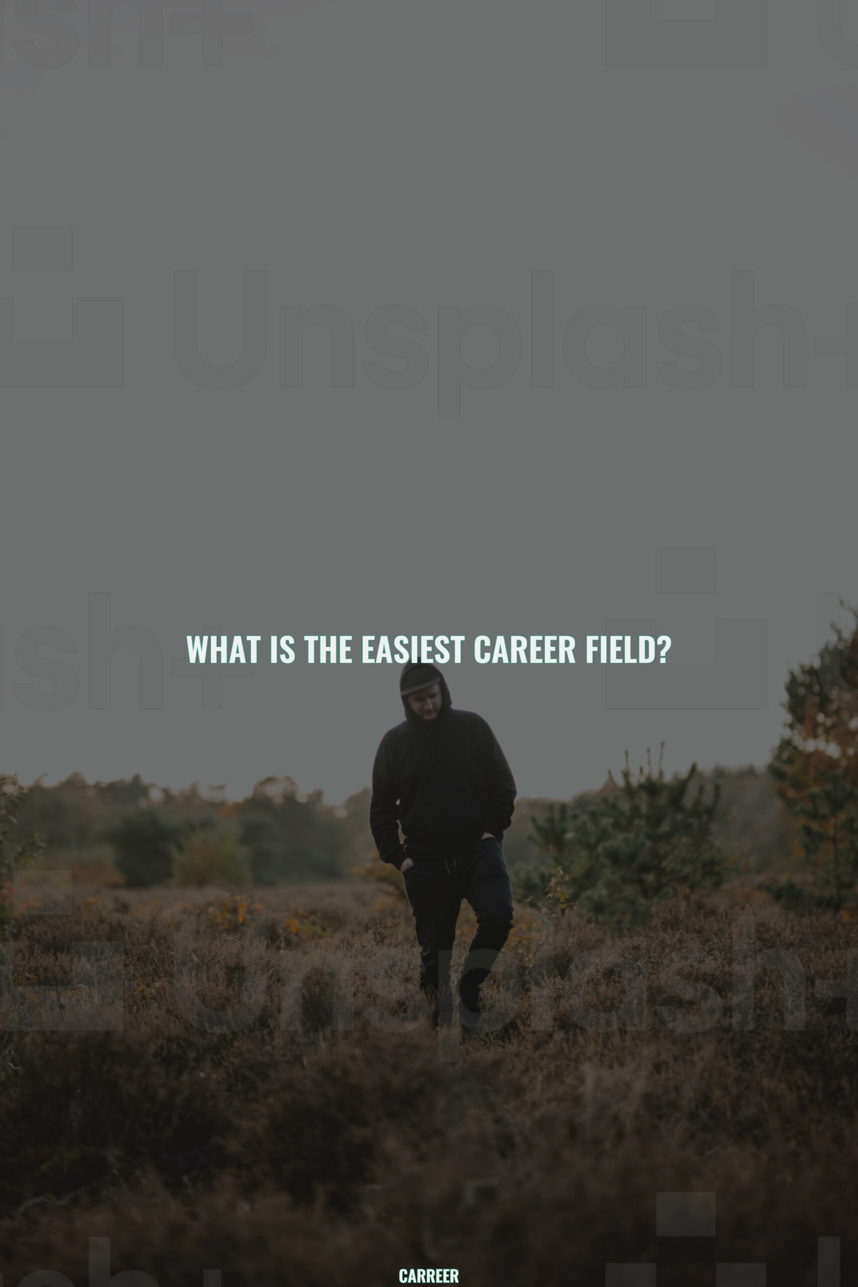 What is the easiest career field?