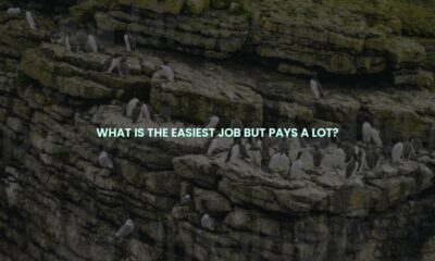 What is the easiest job but pays a lot?