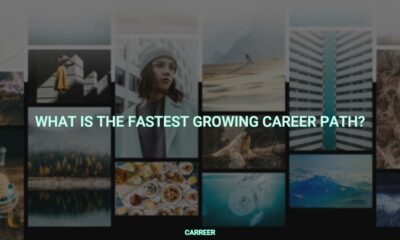 What is the fastest growing career path?