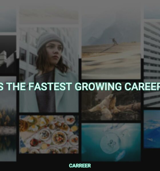 What is the fastest growing career path?