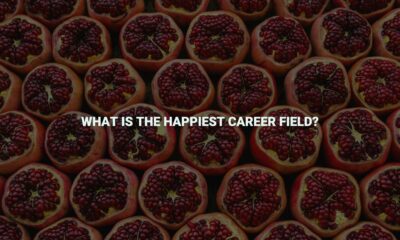 What is the happiest career field?