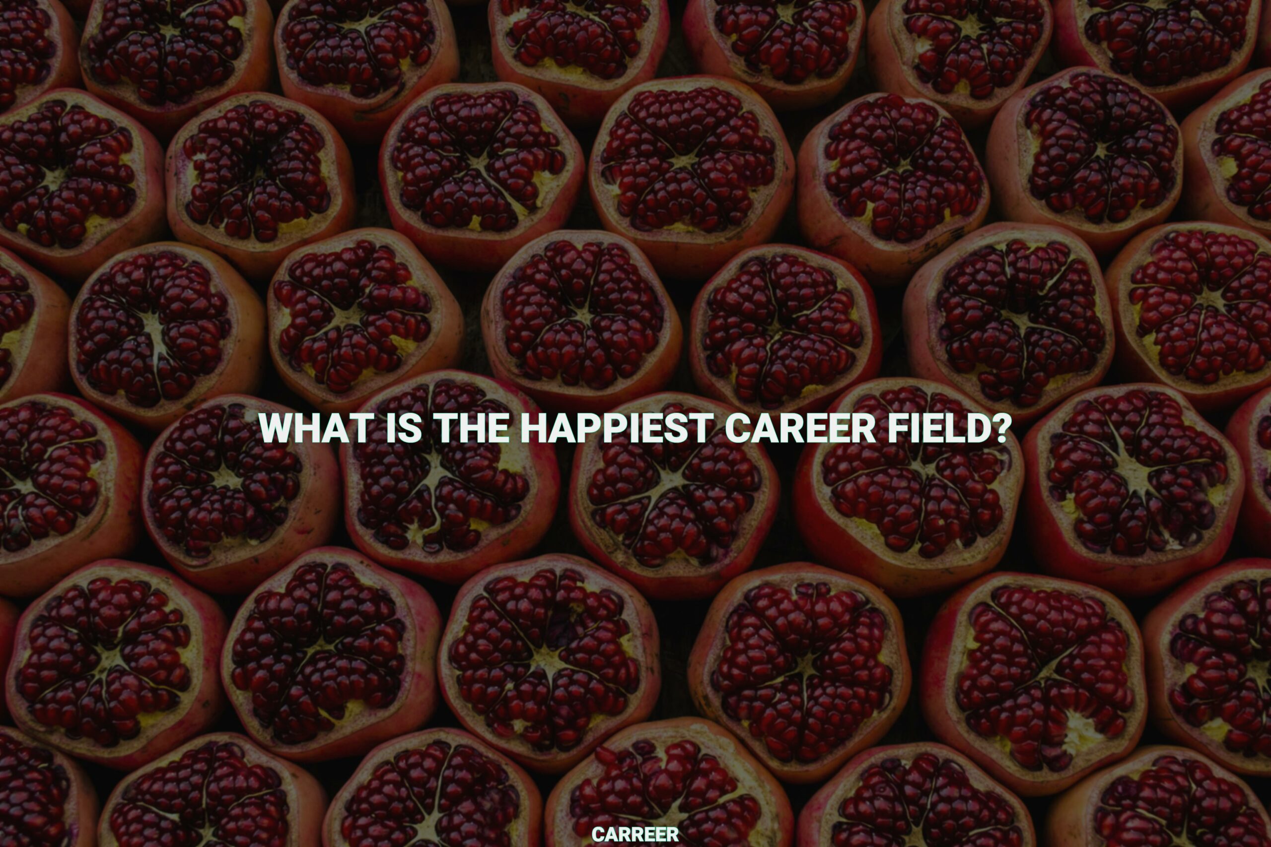 What is the happiest career field?