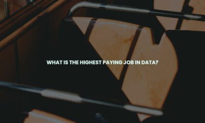 What is the highest paying job in data?
