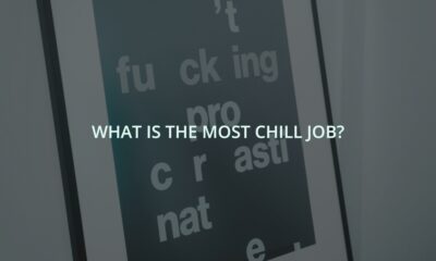 What is the most chill job?