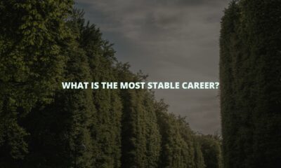 What is the most stable career?