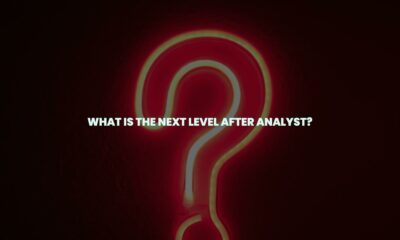 What is the next level after analyst?