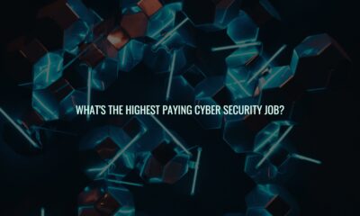 What's the highest paying cyber security job?
