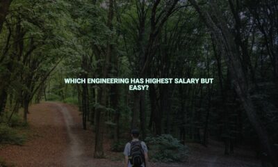 Which engineering has highest salary but easy?
