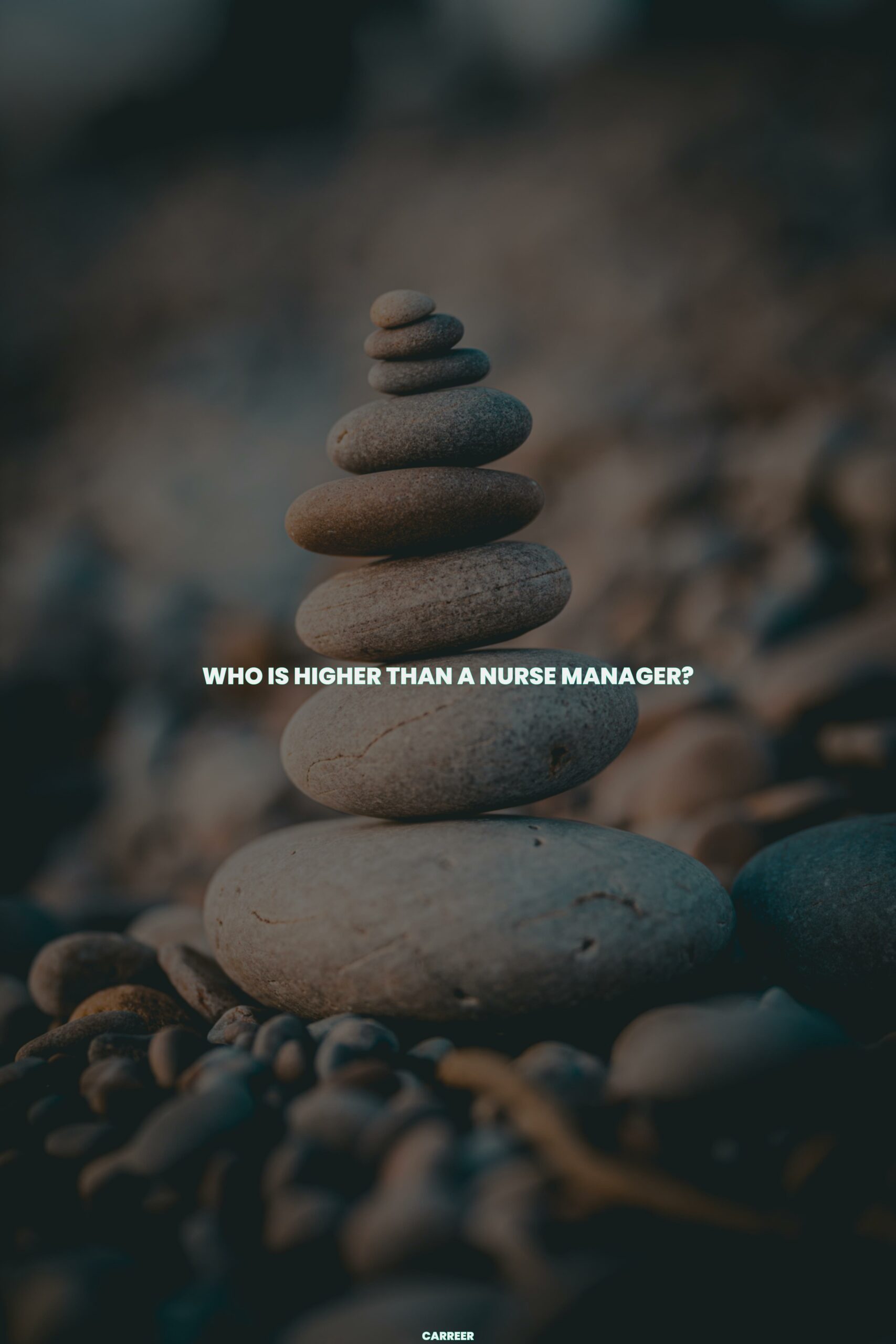 Who is higher than a nurse manager?