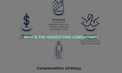 Who is the highest paid consultant?