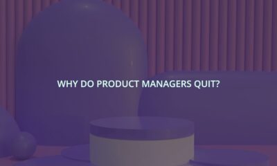 Why do product managers quit?