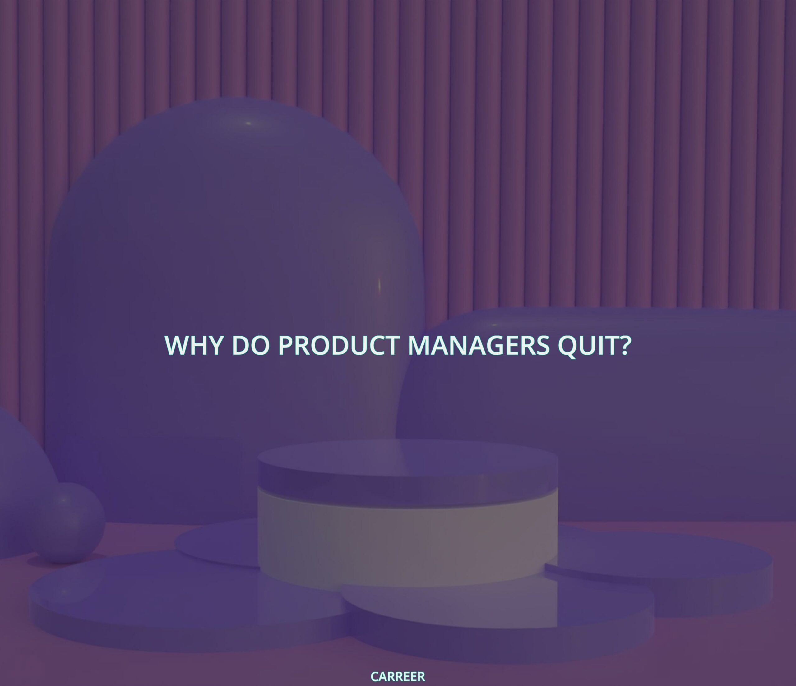 Why do product managers quit?