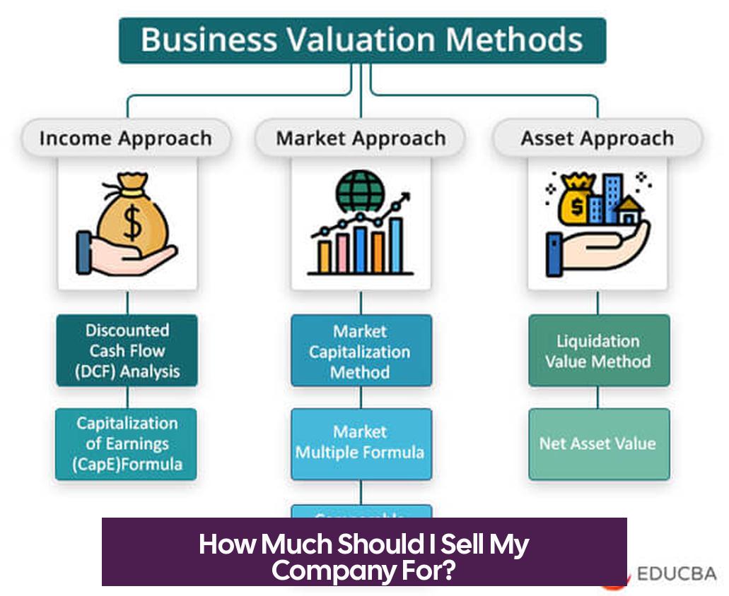 How Much Should I Sell My Company For?