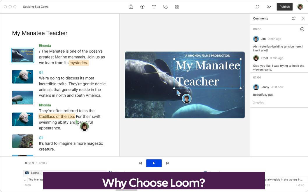 Why Choose Loom?