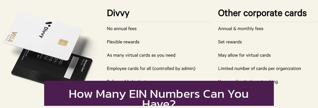 How Many EIN Numbers Can You Have?