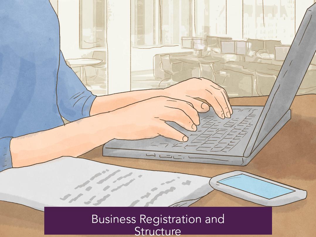 Business Registration and Structure