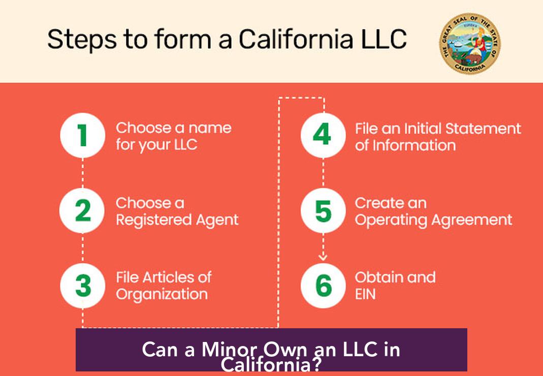 Can a Minor Own an LLC in California?