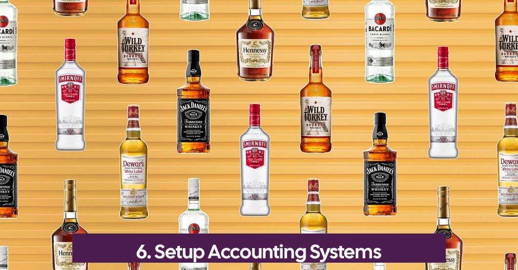 6. Setup Accounting Systems
