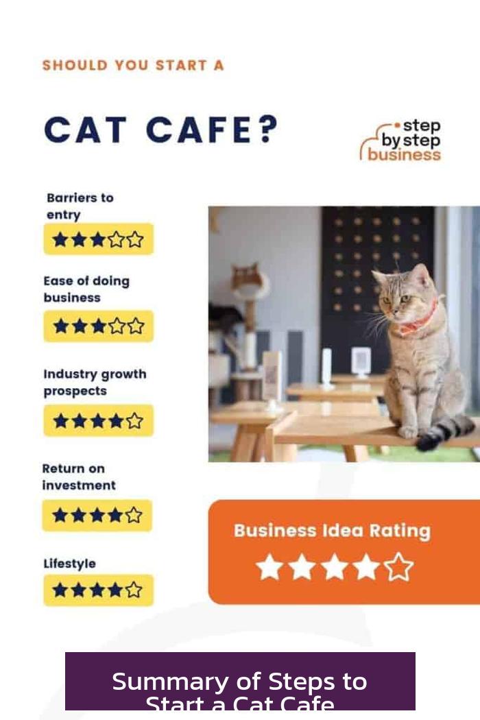 Summary of Steps to Start a Cat Cafe