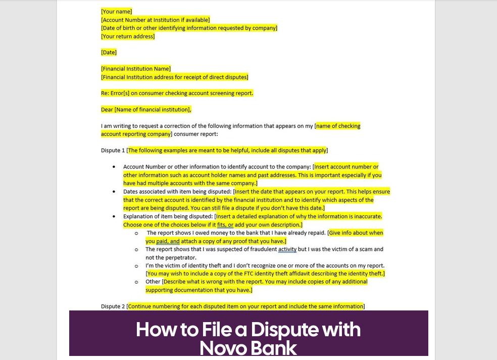 How to File a Dispute with Novo Bank