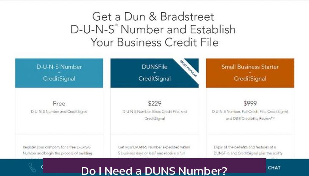 Do I Need a DUNS Number?
