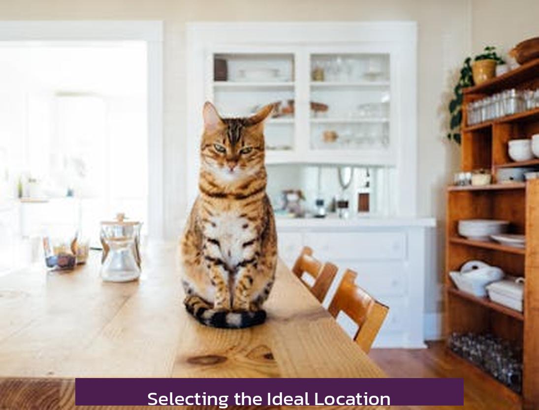 Selecting the Ideal Location