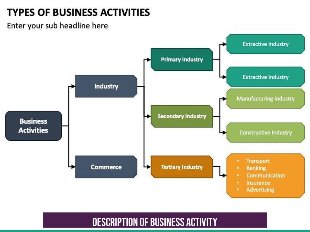 Description of Business Activity