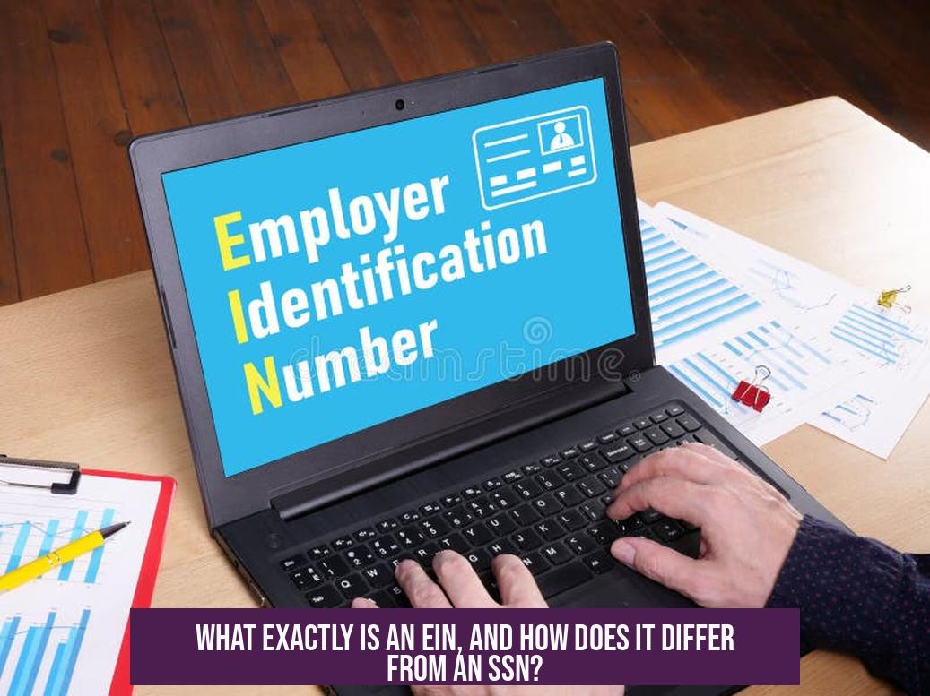 What Exactly Is an EIN, and How Does it Differ From an SSN?