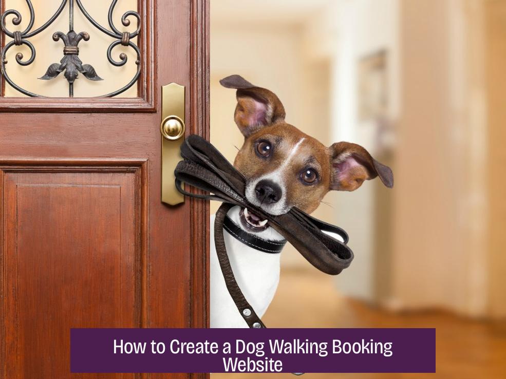 How to Create a Dog Walking Booking Website