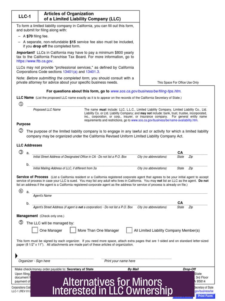 Alternatives for Minors Interested in LLC Ownership