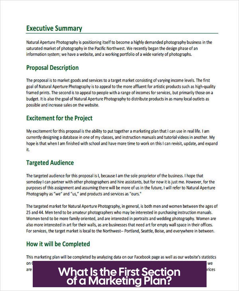 What Is the First Section of a Marketing Plan?